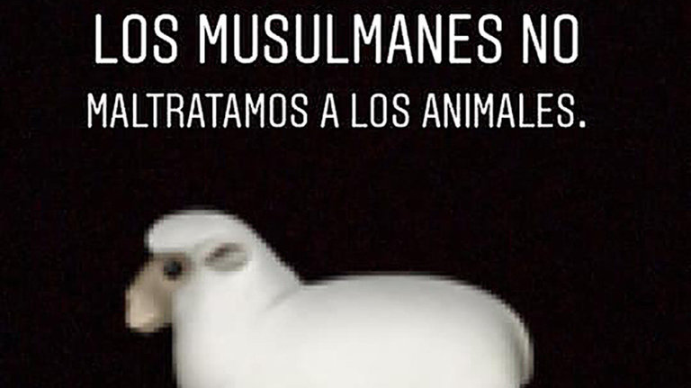 Los musulmanes no maltratamos a los animales