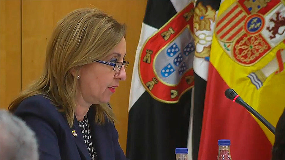 Adela Nieto, durante la sesión plenaria de marzo de 2017.