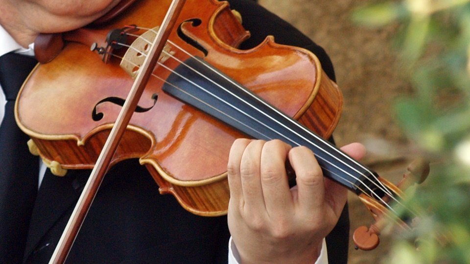musico recurso violin