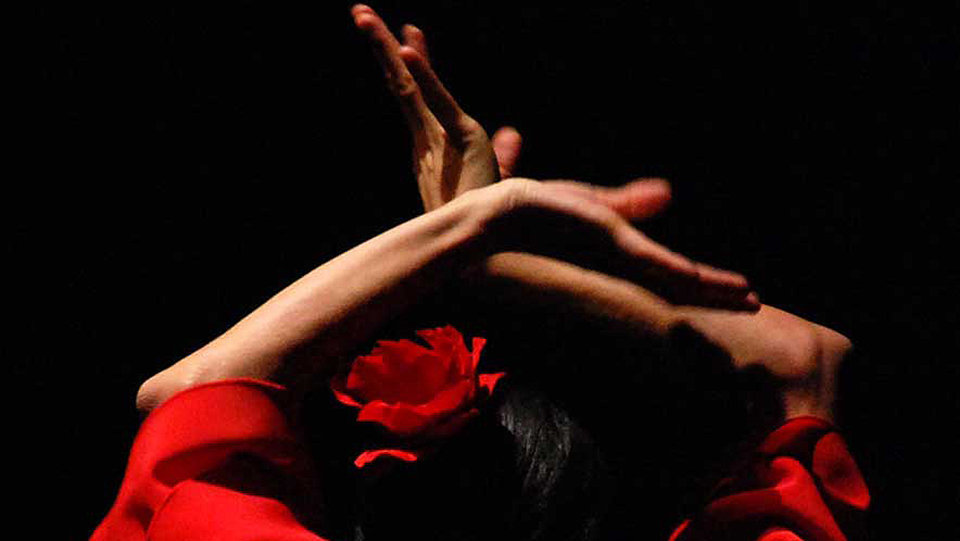 Flamenco, imagen de archivo