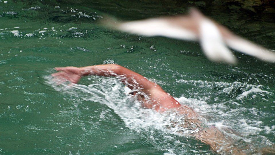 nadador aguas abiertas