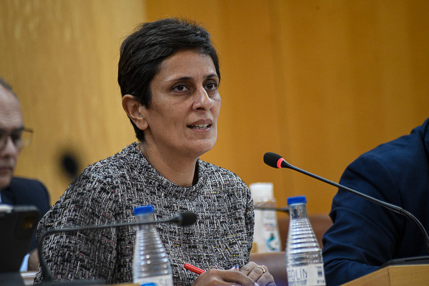 Kissy Chandiramani, durante el transcurso de una sesión plenaria