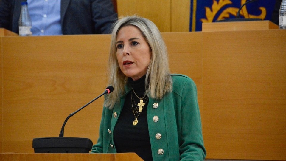 Pleno Asamblea menores inmigrantes inmigración Marruecos febrero 2024 Teresa López VOX