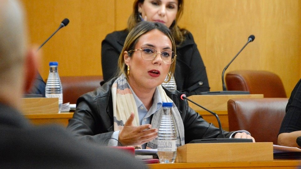 Asamblea Pleno interpelaciones abril 2024 Pilar Orozco PP