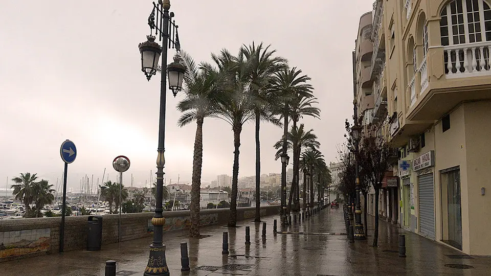 Paseo de las Palmeras