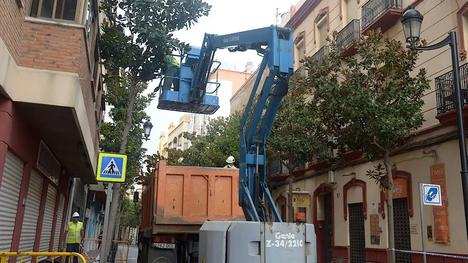 j&aacute;udenes magnolios obra