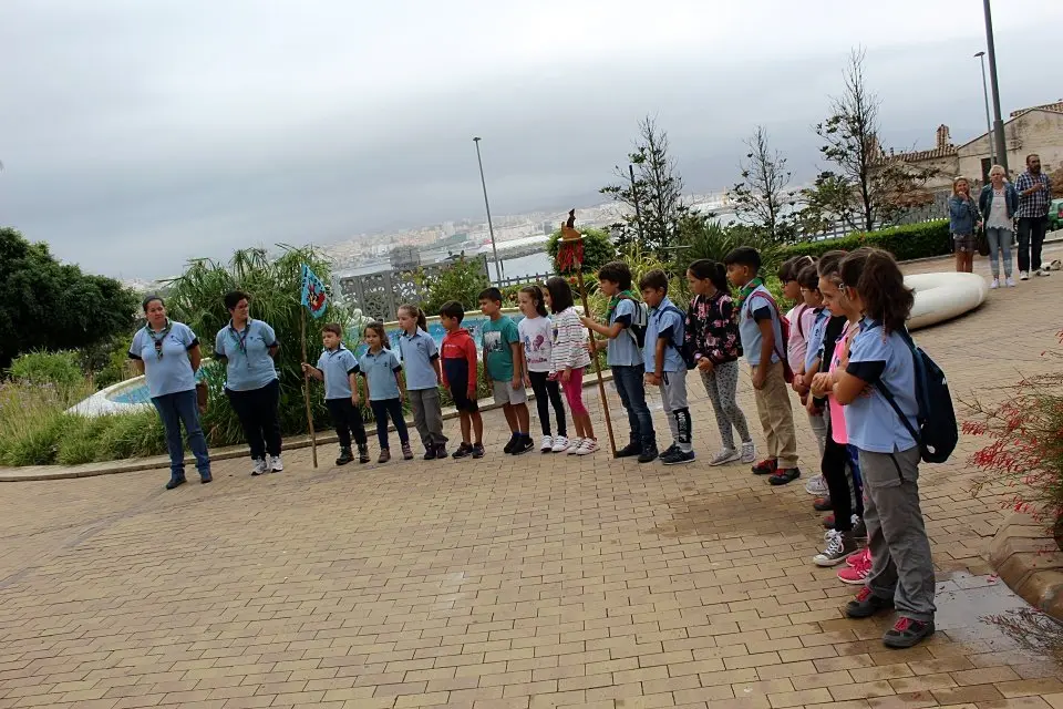 Scouts San Amaro 710