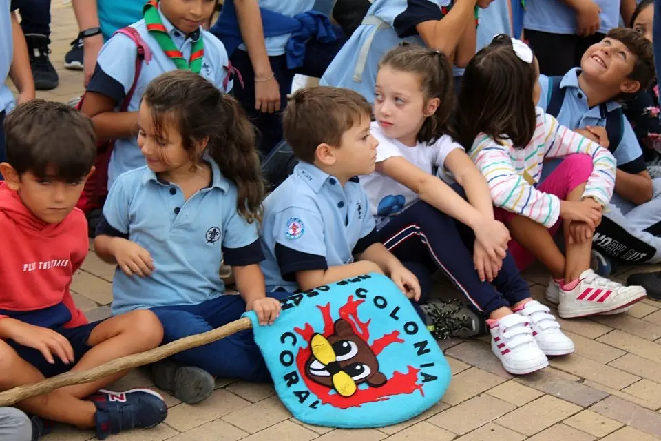 Scouts San Amaro 734