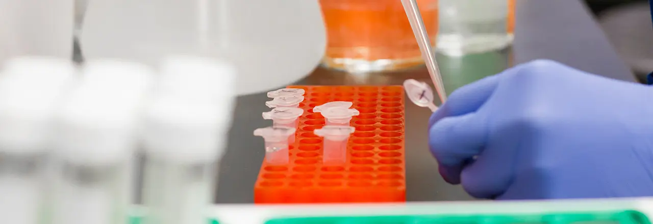 Test de coronavirus en laboratorio. Archivo