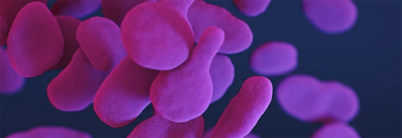Coronavirus COVID-19