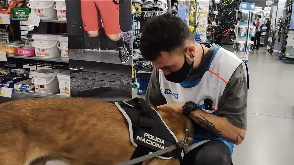 Gu&iacute;a canino
