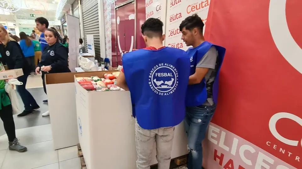 banco alimentos gran recogida 2022