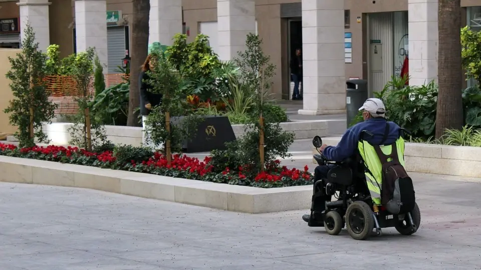  accesibilidad 