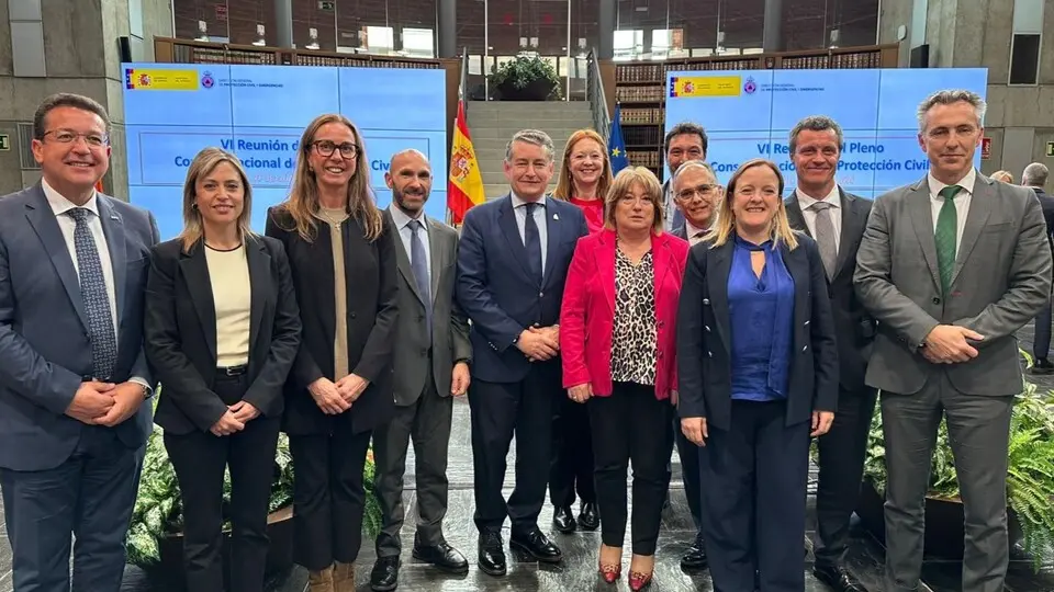 Alberto Gait&aacute;n y varios hom&oacute;logos territoriales, durante un pleno del Consejo de Protecci&oacute;n Civil
