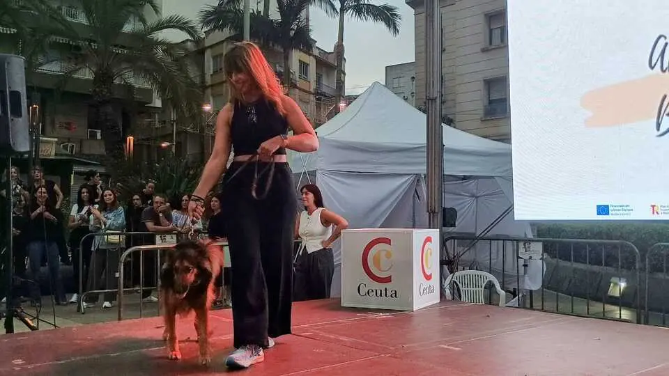 Pasarela de Moda Casual en la Semana del Comercio41