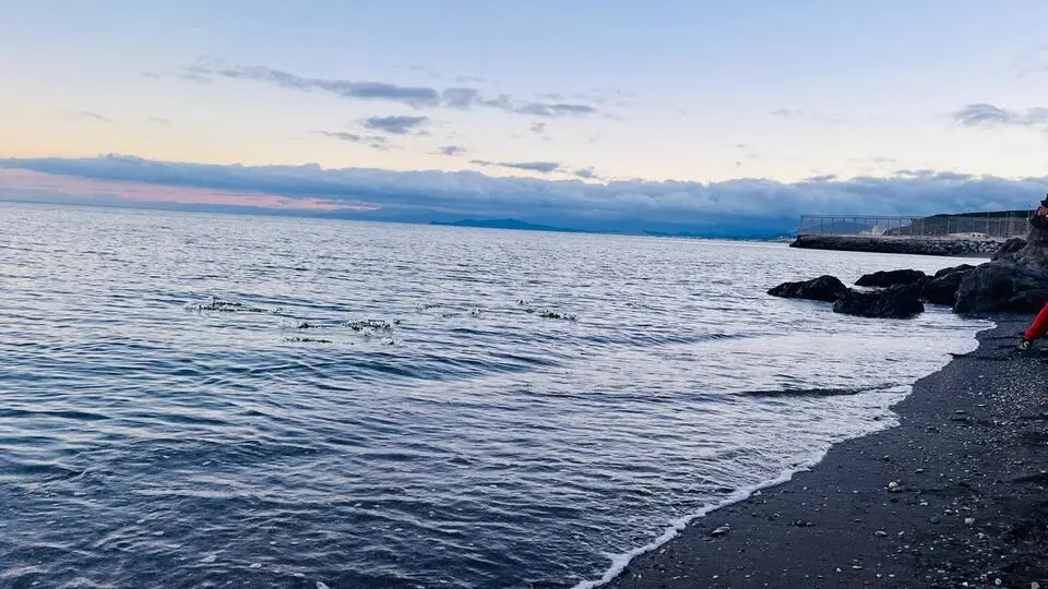 La llegada de la XXII Marcha por la Dignidad a la playa del Tarajal22
