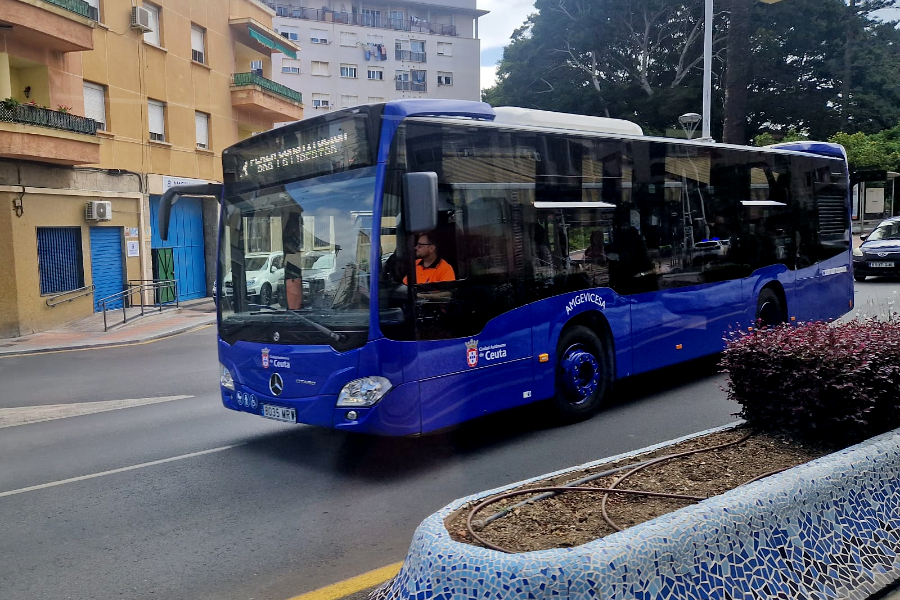  Autobuses / Laura Ortiz 