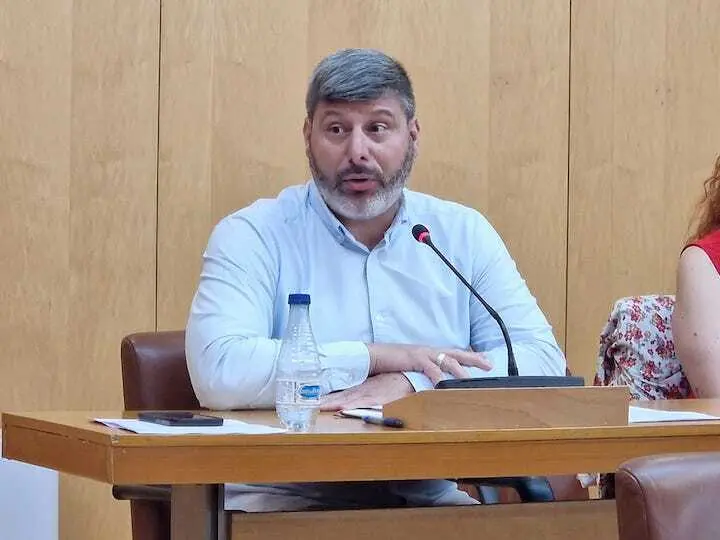Mohamed Mustafa durante la sesión pleanaria.