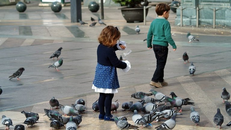 niños palomas