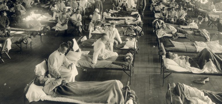 gripe 1918