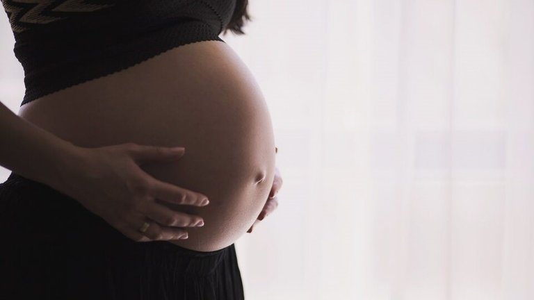 Mujer embarazada / Imagen cedida