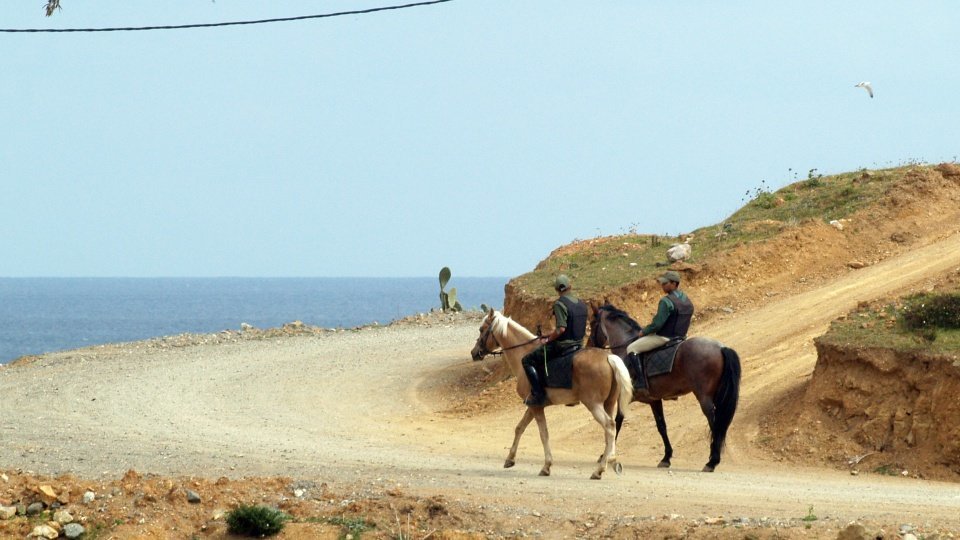 gendarmería marruecos caballo