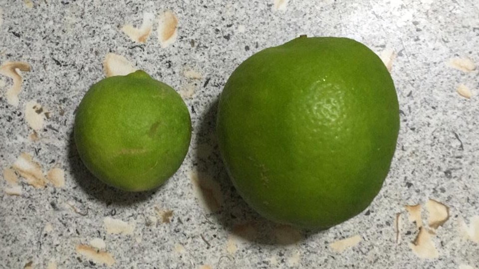 lima vs limon ceuti