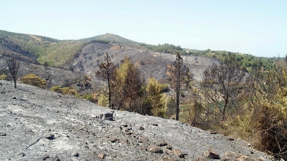 García Aldave, tras el incendio forestal del año 2018