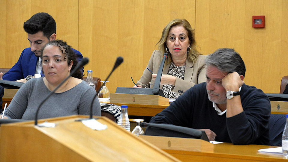 Adela Nieto, responsable de de Sanidad y Asuntos Sociales, durante un pleno