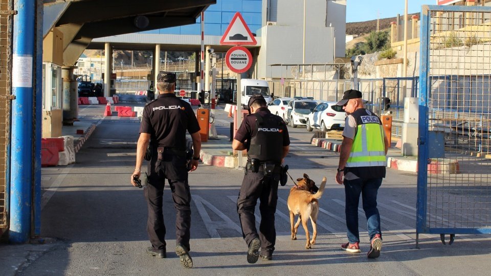 policía nacional perro frontera