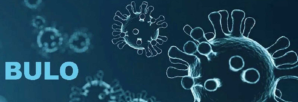 Bulos coronavirus