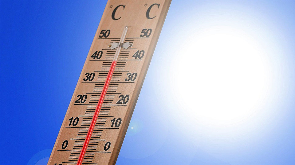Un termómetro, marcando cuarenta grados Celsius