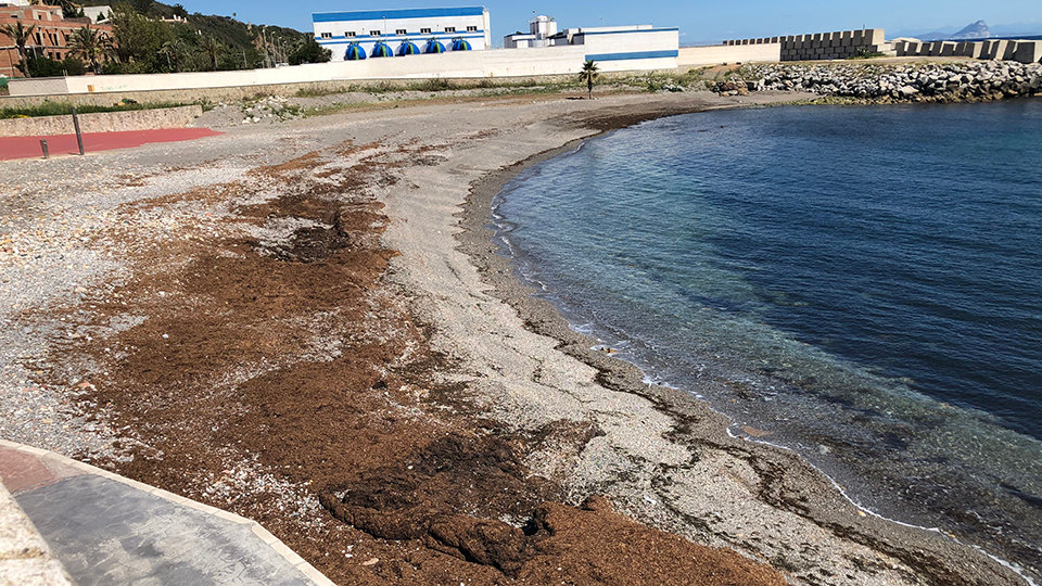 Playa Benítez y planta desalinizadora