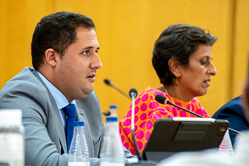 Alejandro Ramírez y Kissy Chandiramani, durante el transcurso de una sesión plenaria
