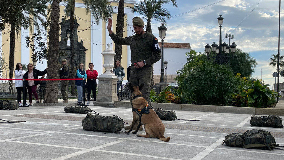 Un funcionario de la Policía Militar, durante un ejercicio práctico con un perro antidroga