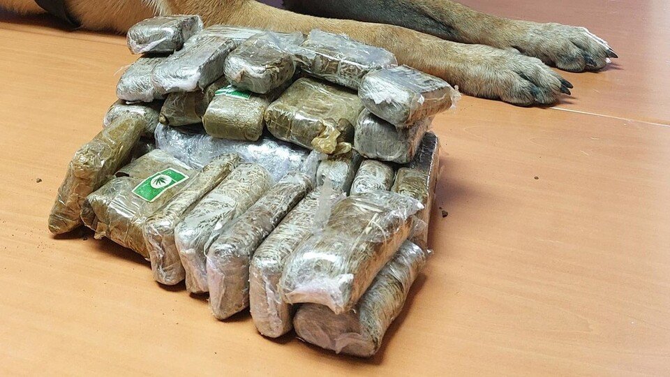 Tabletas de hachís incautadas por la Policía Nacional