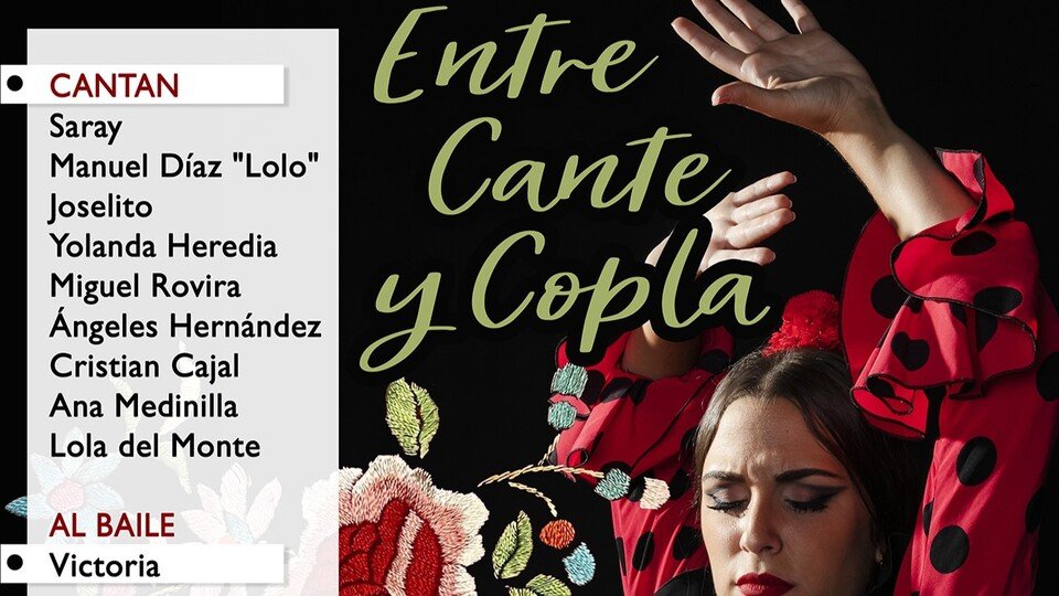 Parte del cartel promocional del XXI 'Festival Peña Cultural Amigos del Flamenco',