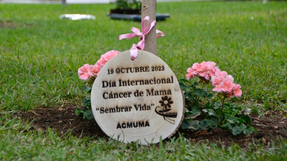 ACMUMA AECC cáncer de mama plantación árbol día mundial plaza de África 2023