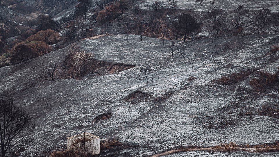 García Aldave, tras el incendio forestal de septiembre de 2022 / Archivo