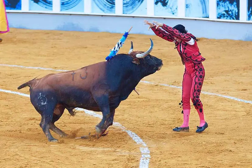 Lance en una corrida de toros / Imagen de archivo