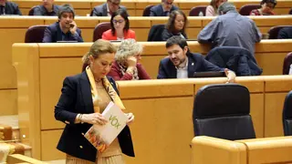 merelo vox senado