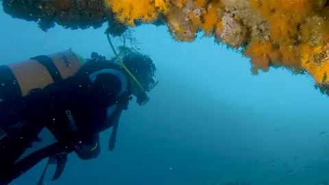 buceo fondos marinos