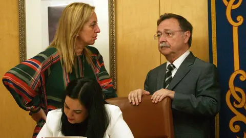 adela nieto vivas salcedo