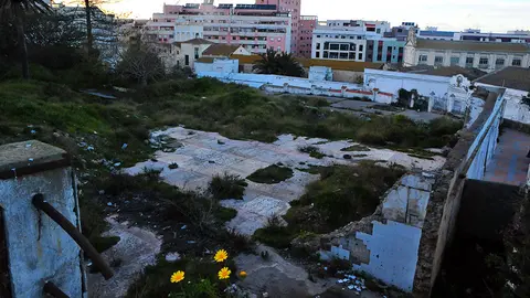 Parte de la parcela del Brull