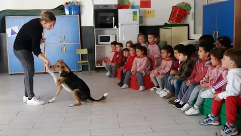 semana cuento ceip mare