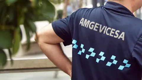 amgevicesa