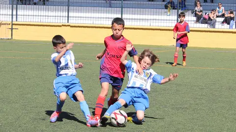 alevines futbols 2014