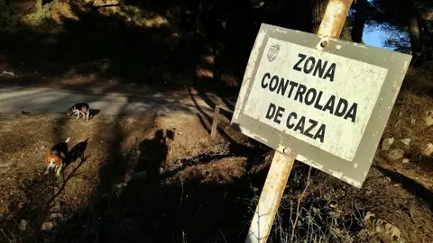 caza