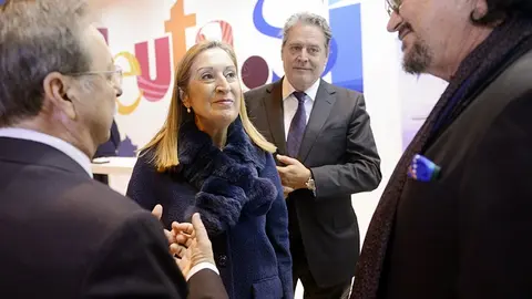 FITUR 2018 2&ordm; d&iacute;a19