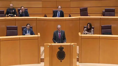 El senador popular Miguel &Aacute;ngel Ramis durante el debate en el Senado